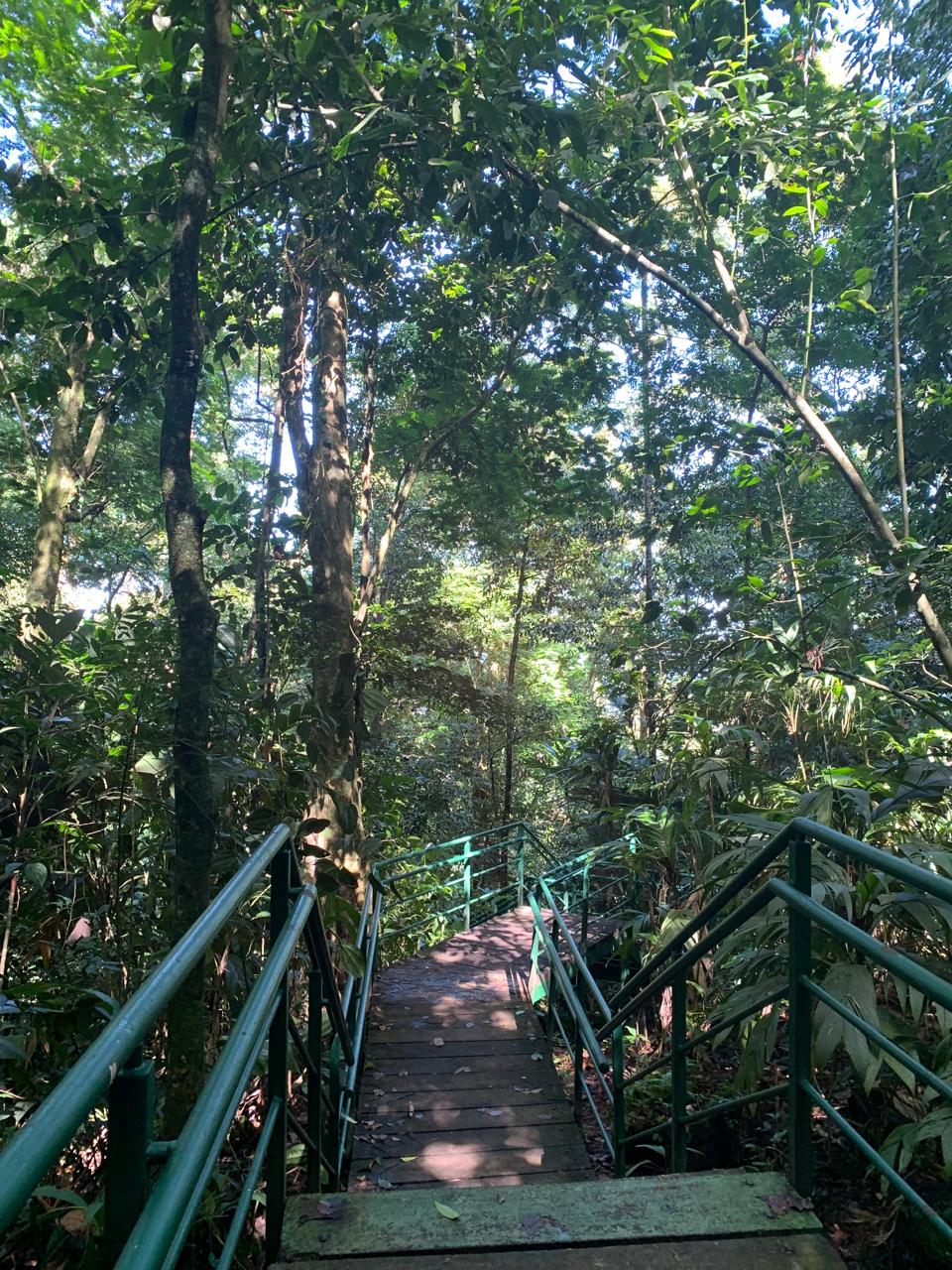 Tortuguero WhatsApp Image 2025-12-06 at 11.40.39 AM (1)